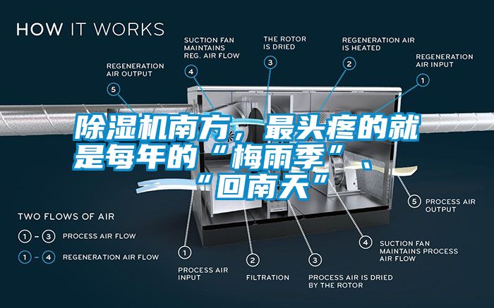 除濕機南方，最頭疼的就是每年的“梅雨季”、“回南天”