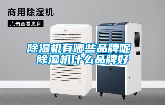 除濕機有哪些品牌呢 除濕機什么品牌好