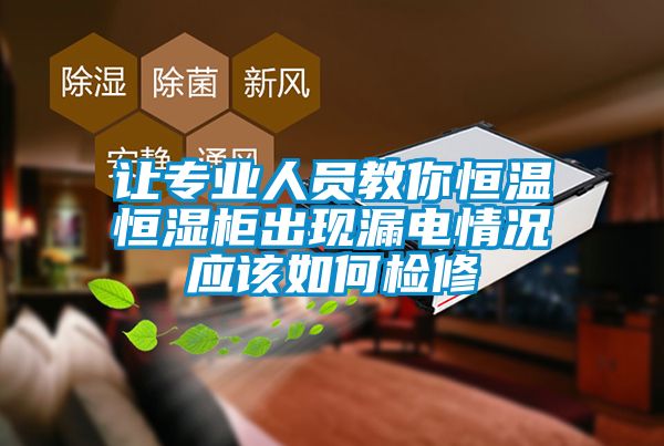 讓專業人員教你恒溫恒濕柜出現漏電情況應該如何檢修