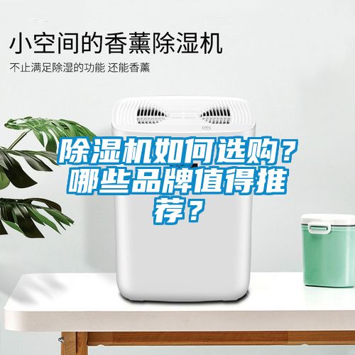 除濕機如何選購？哪些品牌值得推薦？