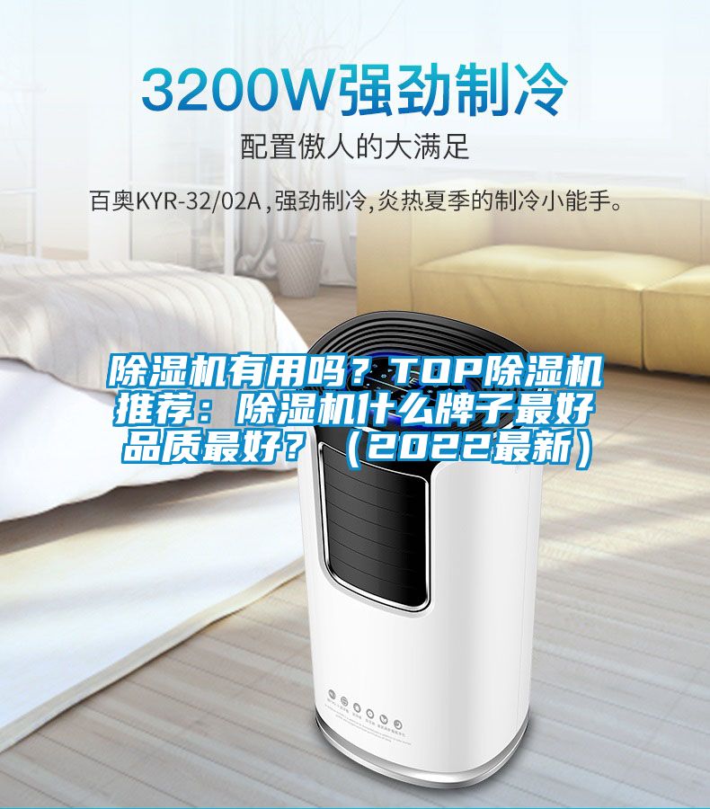 除濕機有用嗎？TOP除濕機推薦：除濕機什么牌子最好品質最好？（2022最新）