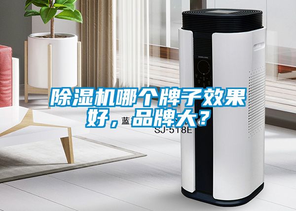 除濕機哪個牌子效果好，品牌大？