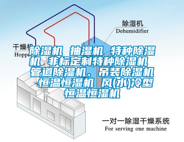 除濕機 抽濕機 特種除濕機 非標定制特種除濕機 管道除濕機、吊裝除濕機 恒溫恒濕機 風(水)冷型恒溫恒濕機