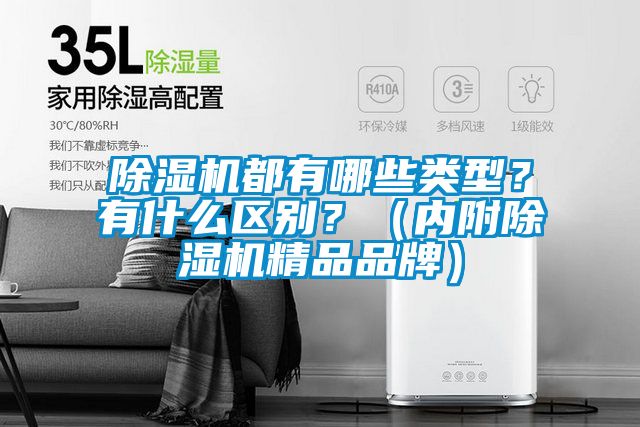 除濕機都有哪些類型？有什么區別？（內附除濕機精品品牌）