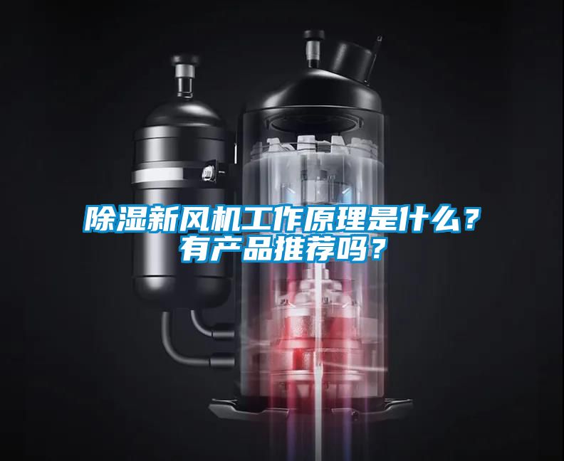 除濕新風機工作原理是什么？有產品推薦嗎？