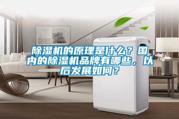 除濕機的原理是什么？國內的除濕機品牌有哪些，以后發展如何？