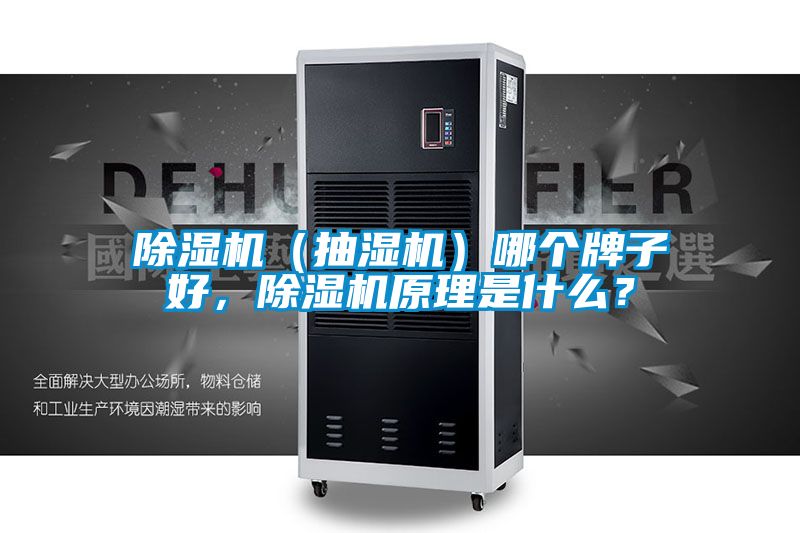 除濕機（抽濕機）哪個牌子好，除濕機原理是什么？