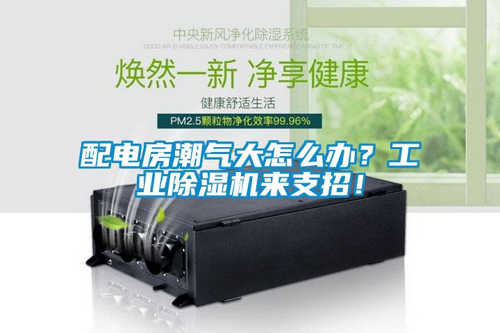 配電房潮氣大怎么辦？工業(yè)除濕機來支招！