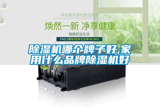 除濕機哪個牌子好,家用什么品牌除濕機好