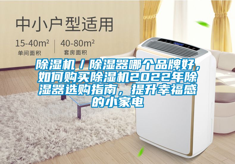 除濕機／除濕器哪個品牌好，如何購買除濕機2022年除濕器選購指南，提升幸福感的小家電