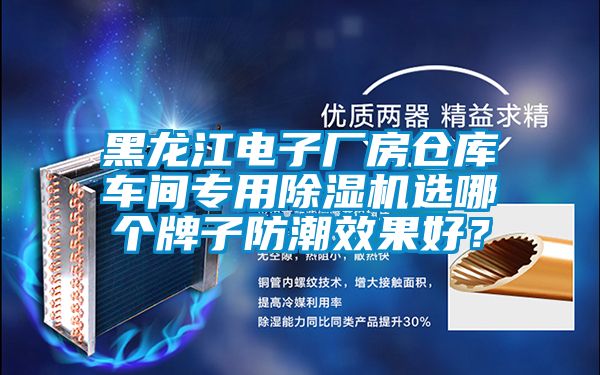 黑龍江電子廠房倉庫車間專用除濕機選哪個牌子防潮效果好？