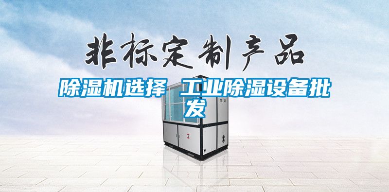 除濕機選擇 工業(yè)除濕設備批發(fā)