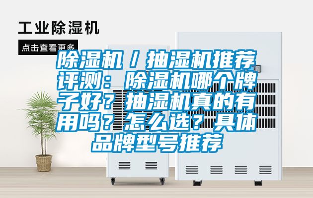 除濕機／抽濕機推薦評測：除濕機哪個牌子好？抽濕機真的有用嗎？怎么選？具體品牌型號推薦