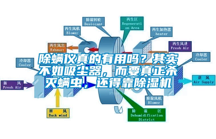 除螨儀真的有用嗎？其實不如吸塵器，而要真正殺滅螨蟲，還得靠除濕機